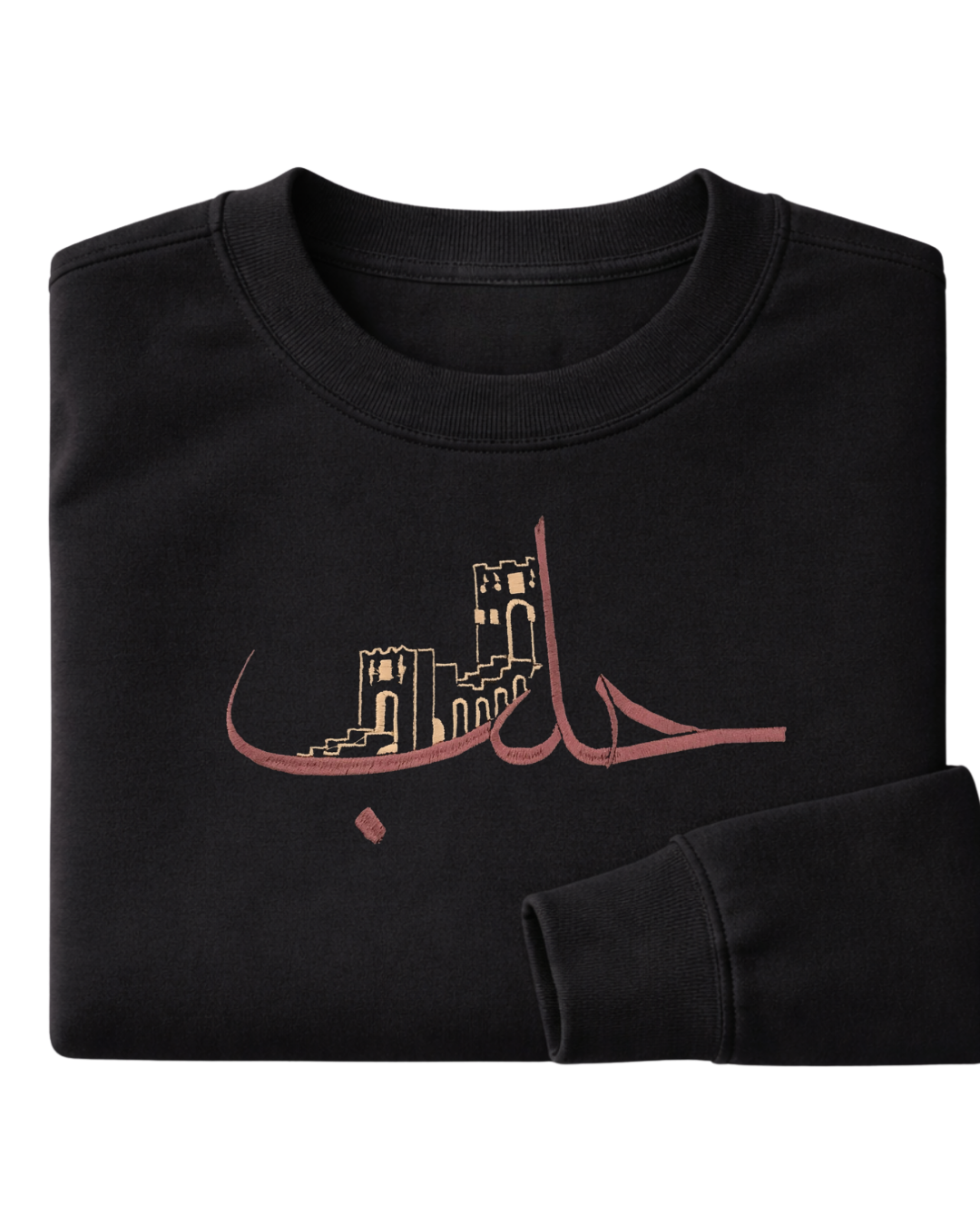 Ancient city of Aleppo - Elrayah