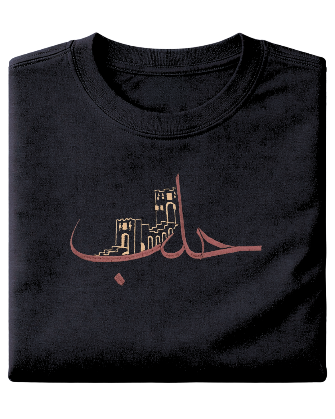 Ancient city of Aleppo - Elrayah