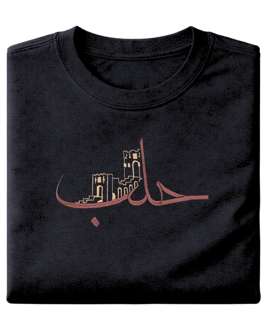 Ancient city of Aleppo - Elrayah