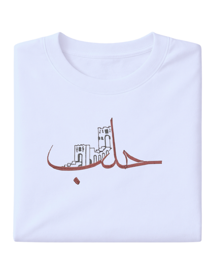 Ancient city of Aleppo - Elrayah